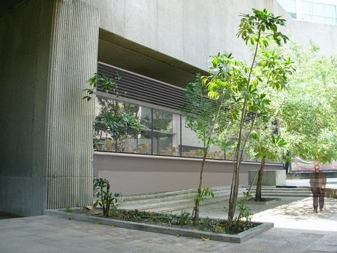 Comedor del Congreso del Estado de N.L. — imagen 7