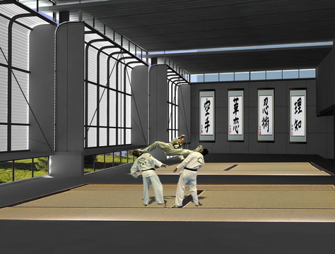 Gimnasio Polideportivo de Combate — imagen 5