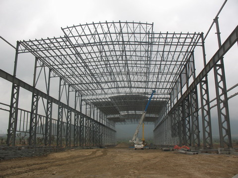 Línea 5 — imagen 4