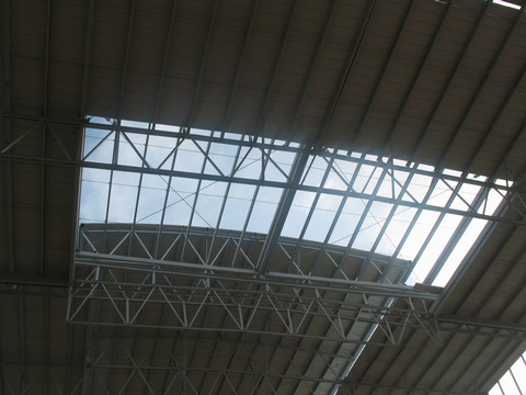 Línea 5 — imagen 5